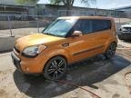 KIA SOUL , 2010