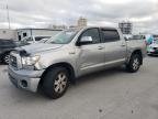 TUNDRA 