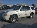 ESCALADE 