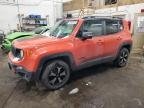 RENEGADE 