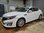 OPTIMA 