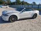 FORD ALL Models , 2019