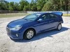 ELANTRA 