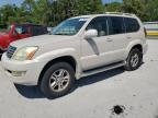 LEXUS GX , 2003