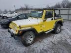 WRANGLER 
