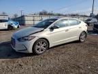 ELANTRA 