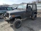 WRANGLER 