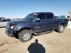 TUNDRA 