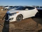 VELOSTER 