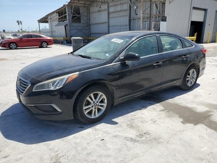 SONATA 