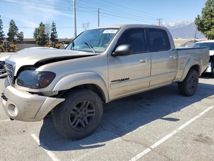 TUNDRA 