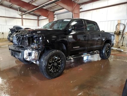 TUNDRA 
