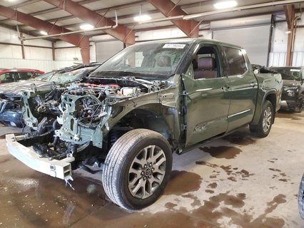 TUNDRA 