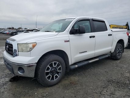 TUNDRA 
