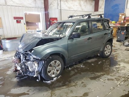 FORESTER 