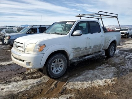 TUNDRA 