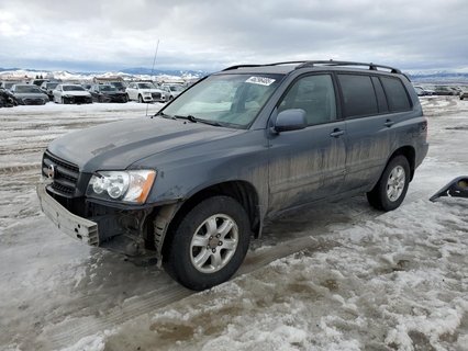 HIGHLANDER 