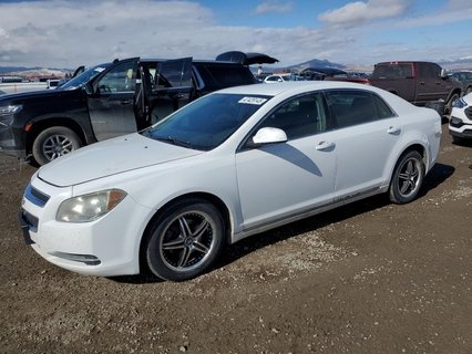 MALIBU 