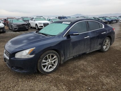 MAXIMA 