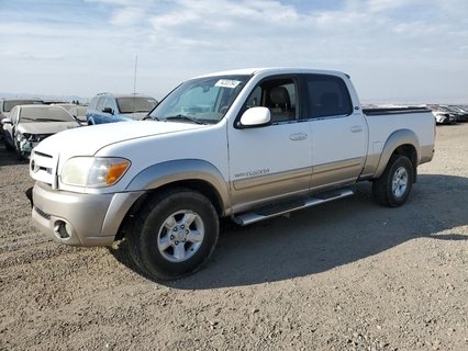 TUNDRA 