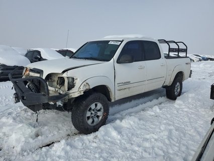 TUNDRA 