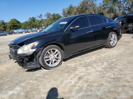 MAXIMA 