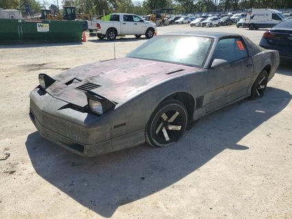 FIREBIRD 