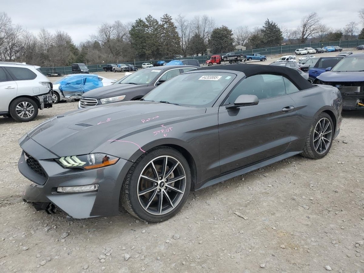 FORD ALL Models , 2019