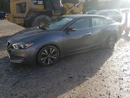 MAXIMA 