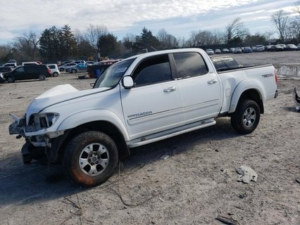 TUNDRA 
