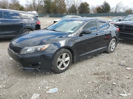 OPTIMA 