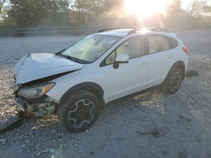 XV 