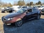 OPTIMA 