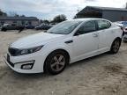 OPTIMA 