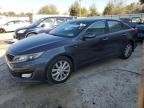 OPTIMA 