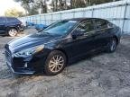 SONATA 