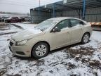 CRUZE 