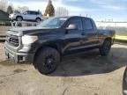 TUNDRA 