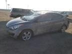 ELANTRA 