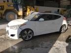 VELOSTER 