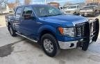 F-150 