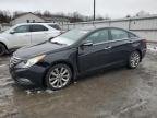SONATA 