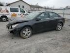 CRUZE 