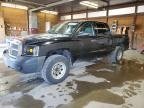 DODGE  DAKOTA , 2005