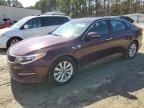 OPTIMA 