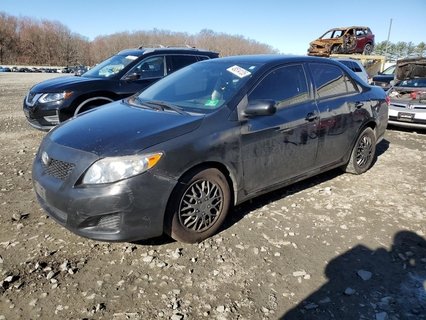COROLLA 