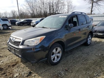 FORESTER 