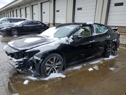MAXIMA 