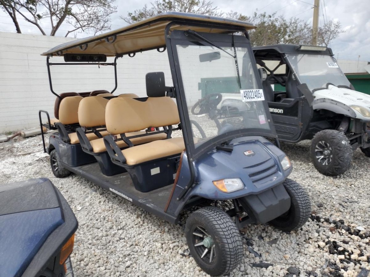 GOLF CART , 2019