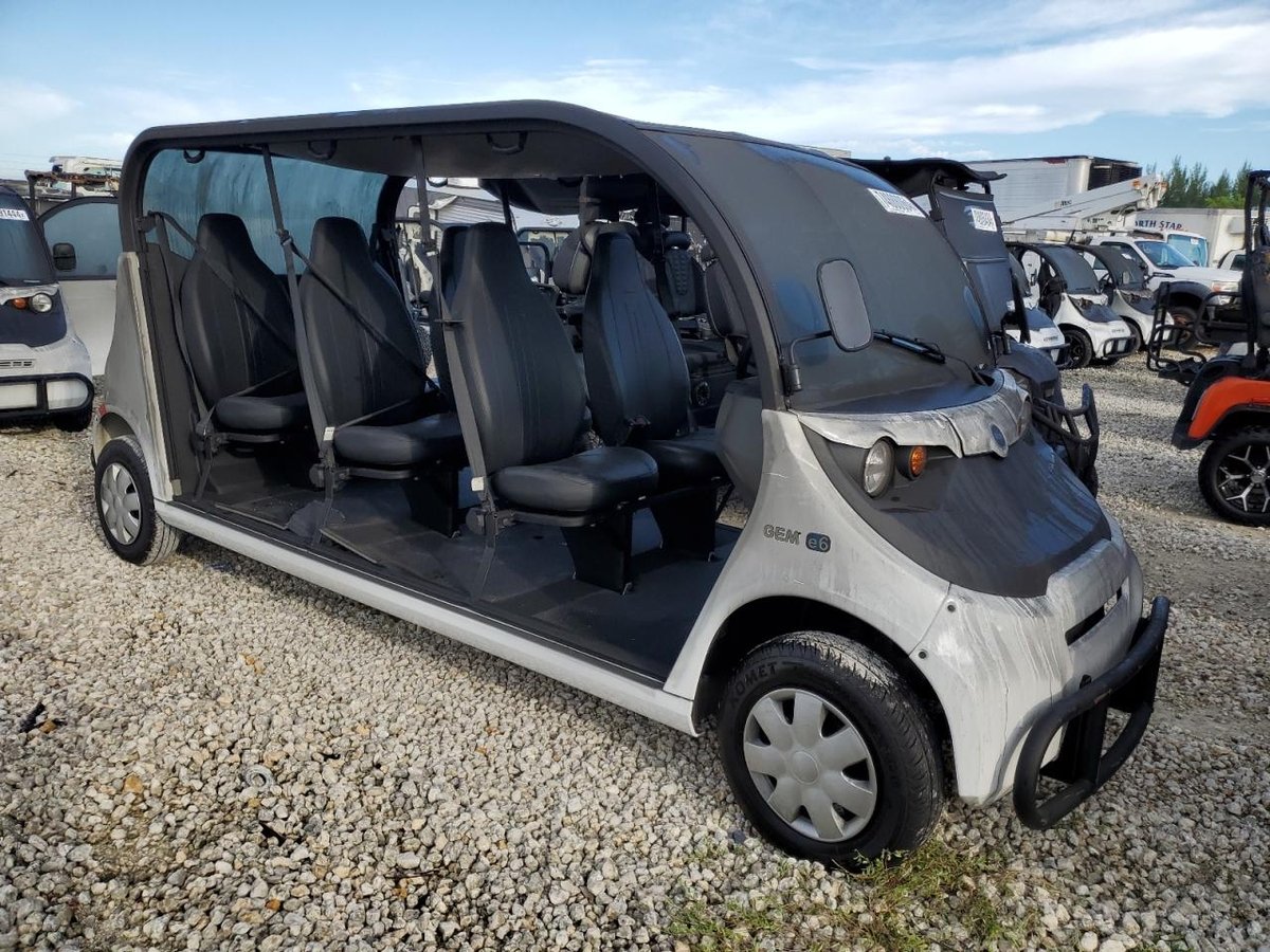 GLOBAL ELECTRIC MOTORS CART , 2018